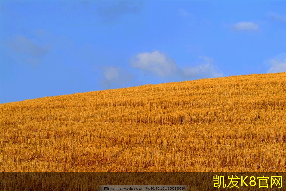 钢结构厂房造价每平米多少钱构施工说明(重型钢结构厂房造价每平米多少钱)