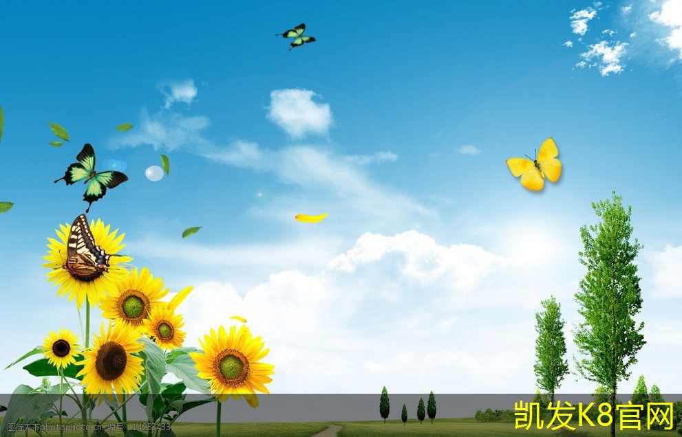 集装箱办公楼搭建方案(集装箱办公楼搭建方案设计)