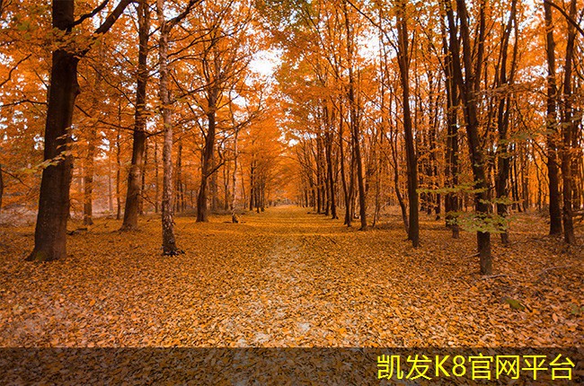 集装箱办公用房外立面效果(集装箱办公室布置)