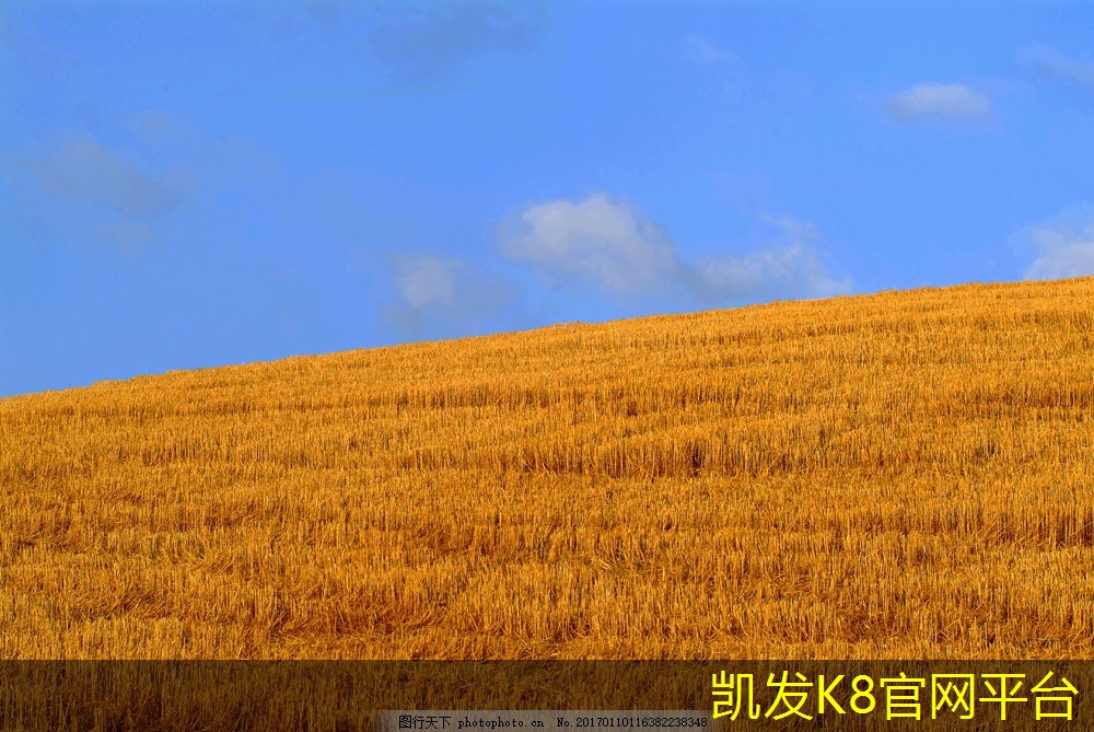 钢结构厂房造价每平米多少钱构施工说明(重型钢结构厂房造价每平米多少钱)
